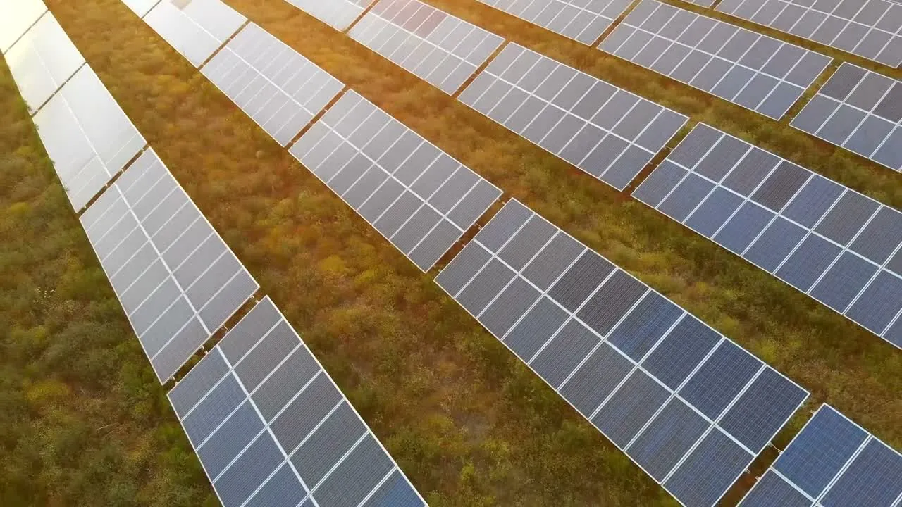 Rows of solar panels at sunset